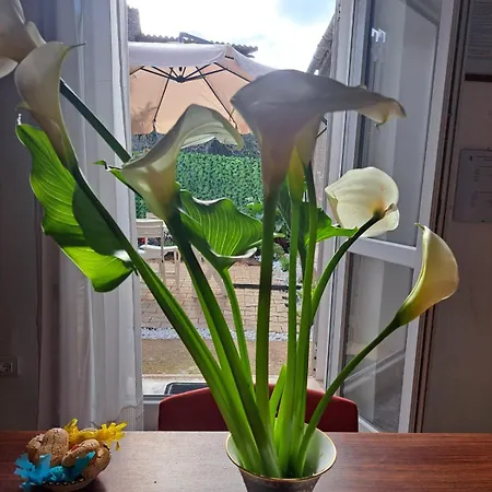 Apartament La Casa Di Luca *